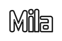 Omridsbillede